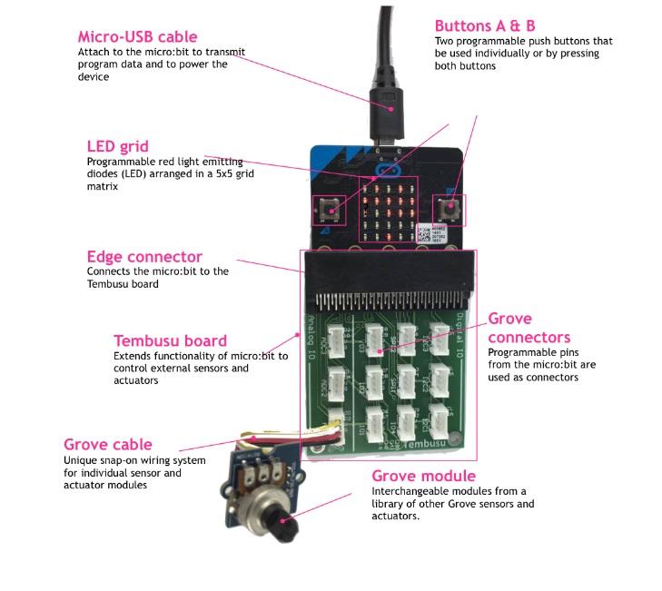 micro:bit Digital Explorer Pack: Trekking the Grove